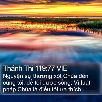 Thánh Thi 119:77 VIE Bible Verse Image