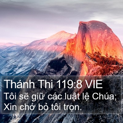 Thánh Thi 119:8 VIE Bible Verse Image