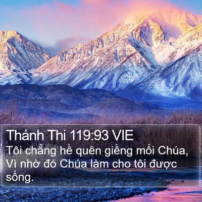 Thánh Thi 119:93 VIE Bible Verse Image