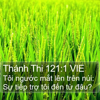 Thánh Thi 121:1 VIE Bible Verse Image