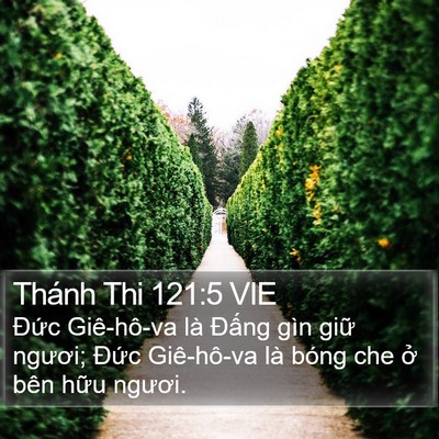 Thánh Thi 121:5 VIE Bible Verse Image