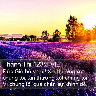 Thánh Thi 123:3 VIE Bible Verse Image