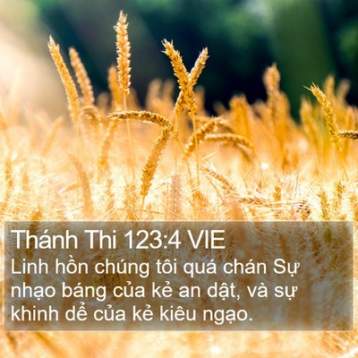 Thánh Thi 123:4 VIE Bible Verse Image