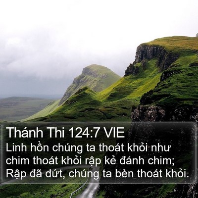 Thánh Thi 124:7 VIE Bible Verse Image