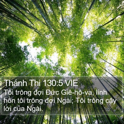Thánh Thi 130:5 VIE Bible Verse Image