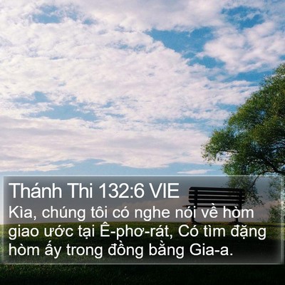 Thánh Thi 132:6 VIE Bible Verse Image