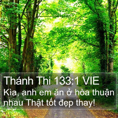 Thánh Thi 133:1 VIE Bible Verse Image