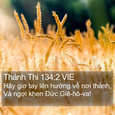 Thánh Thi 134:2 VIE Bible Verse Image