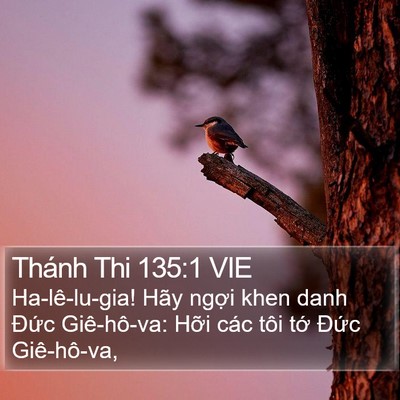 Thánh Thi 135:1 VIE Bible Verse Image