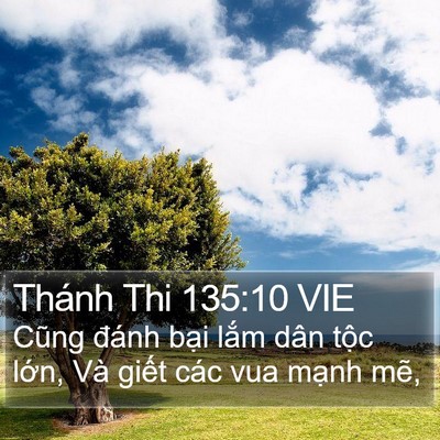 Thánh Thi 135:10 VIE Bible Verse Image