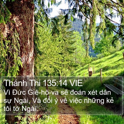 Thánh Thi 135:14 VIE Bible Verse Image