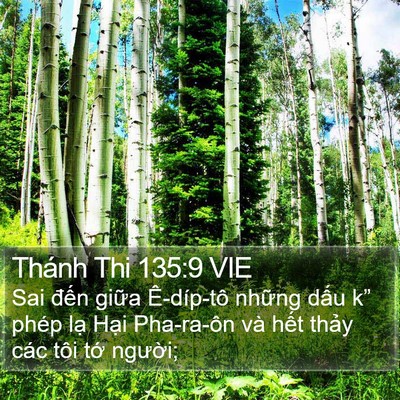 Thánh Thi 135:9 VIE Bible Verse Image