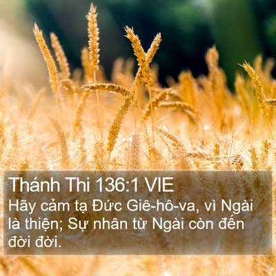 Thánh Thi 136:1 VIE Bible Verse Image