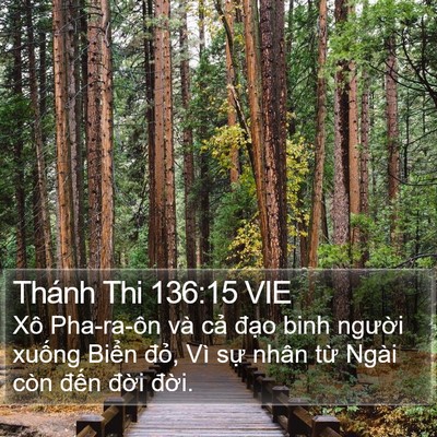 Thánh Thi 136:15 VIE Bible Verse Image