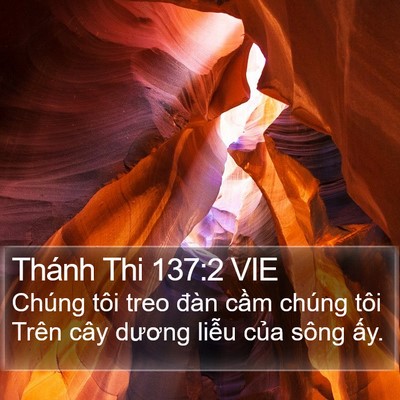 Thánh Thi 137:2 VIE Bible Verse Image