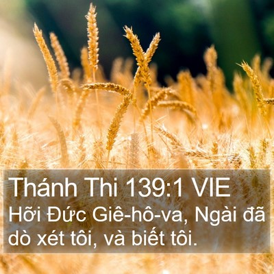 Thánh Thi 139:1 VIE Bible Verse Image