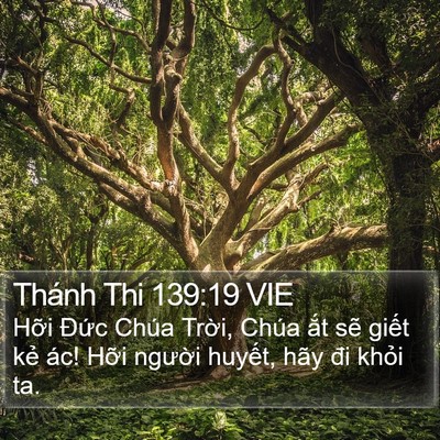 Thánh Thi 139:19 VIE Bible Verse Image