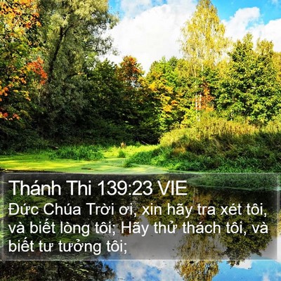 Thánh Thi 139:23 VIE Bible Verse Image