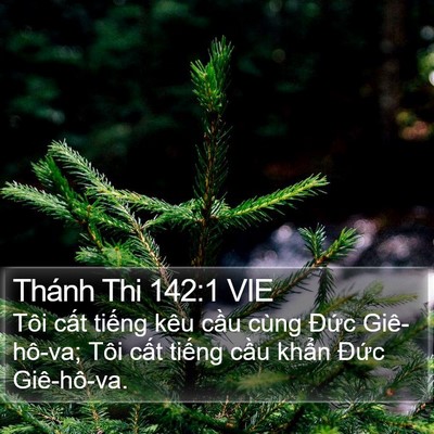 Thánh Thi 142:1 VIE Bible Verse Image