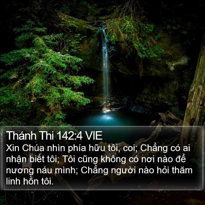 Thánh Thi 142:4 VIE Bible Verse Image