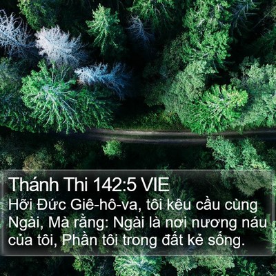 Thánh Thi 142:5 VIE Bible Verse Image
