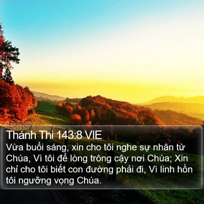 Thánh Thi 143:8 VIE Bible Verse Image