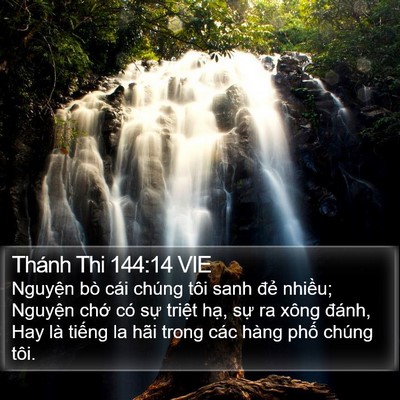 Thánh Thi 144:14 VIE Bible Verse Image