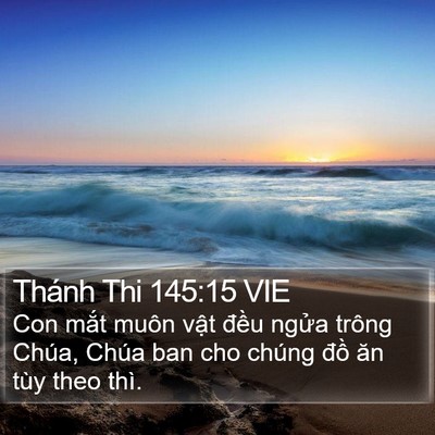 Thánh Thi 145:15 VIE Bible Verse Image
