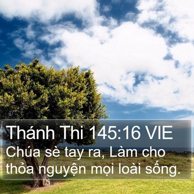 Thánh Thi 145:16 VIE Bible Verse Image