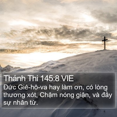 Thánh Thi 145:8 VIE Bible Verse Image