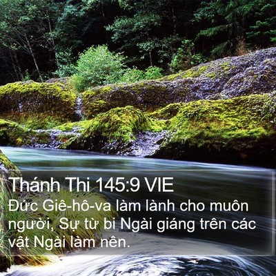 Thánh Thi 145:9 VIE Bible Verse Image