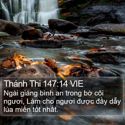 Thánh Thi 147:14 VIE Bible Verse Image