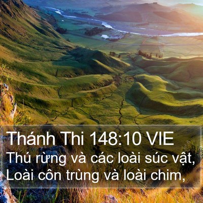 Thánh Thi 148:10 VIE Bible Verse Image