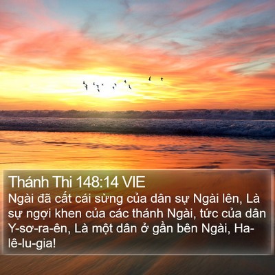 Thánh Thi 148:14 VIE Bible Verse Image