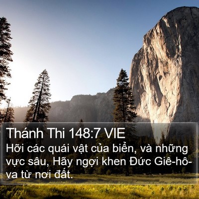 Thánh Thi 148:7 VIE Bible Verse Image
