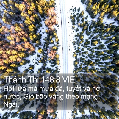 Thánh Thi 148:8 VIE Bible Verse Image