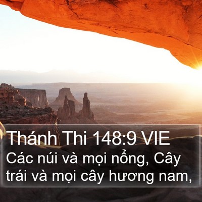 Thánh Thi 148:9 VIE Bible Verse Image