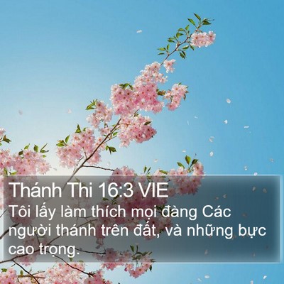 Thánh Thi 16:3 VIE Bible Verse Image