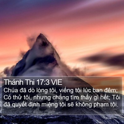 Thánh Thi 17:3 VIE Bible Verse Image