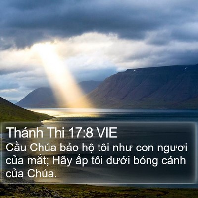Thánh Thi 17:8 VIE Bible Verse Image