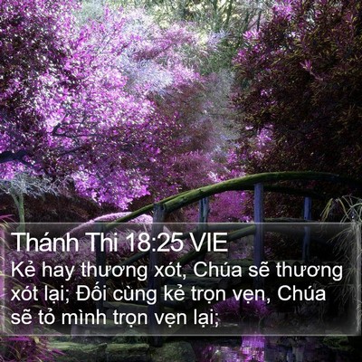 Thánh Thi 18:25 VIE Bible Verse Image