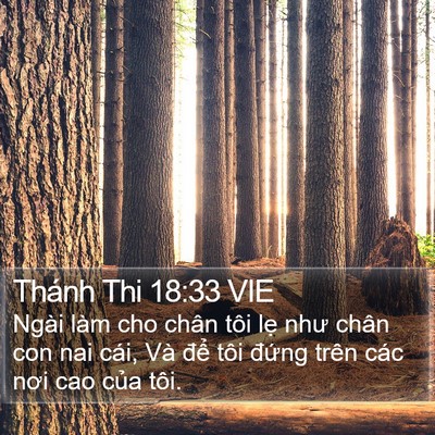 Thánh Thi 18:33 VIE Bible Verse Image