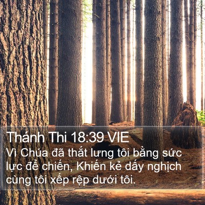 Thánh Thi 18:39 VIE Bible Verse Image