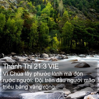 Thánh Thi 21:3 VIE Bible Verse Image