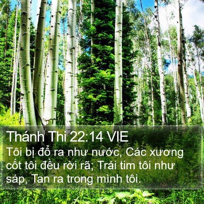 Thánh Thi 22:14 VIE Bible Verse Image
