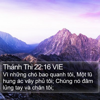 Thánh Thi 22:16 VIE Bible Verse Image