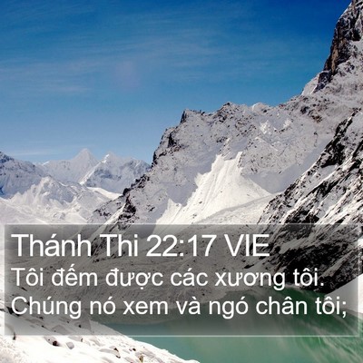 Thánh Thi 22:17 VIE Bible Verse Image