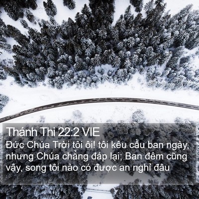 Thánh Thi 22:2 VIE Bible Verse Image