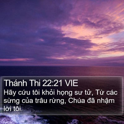 Thánh Thi 22:21 VIE Bible Verse Image