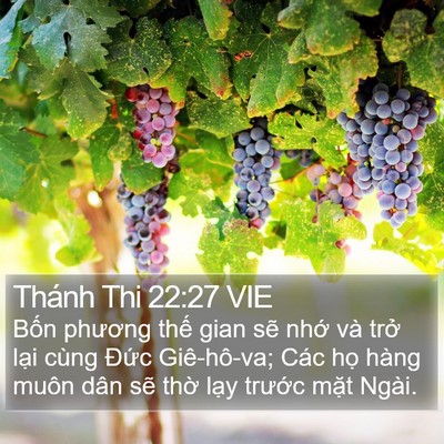 Thánh Thi 22:27 VIE Bible Verse Image
